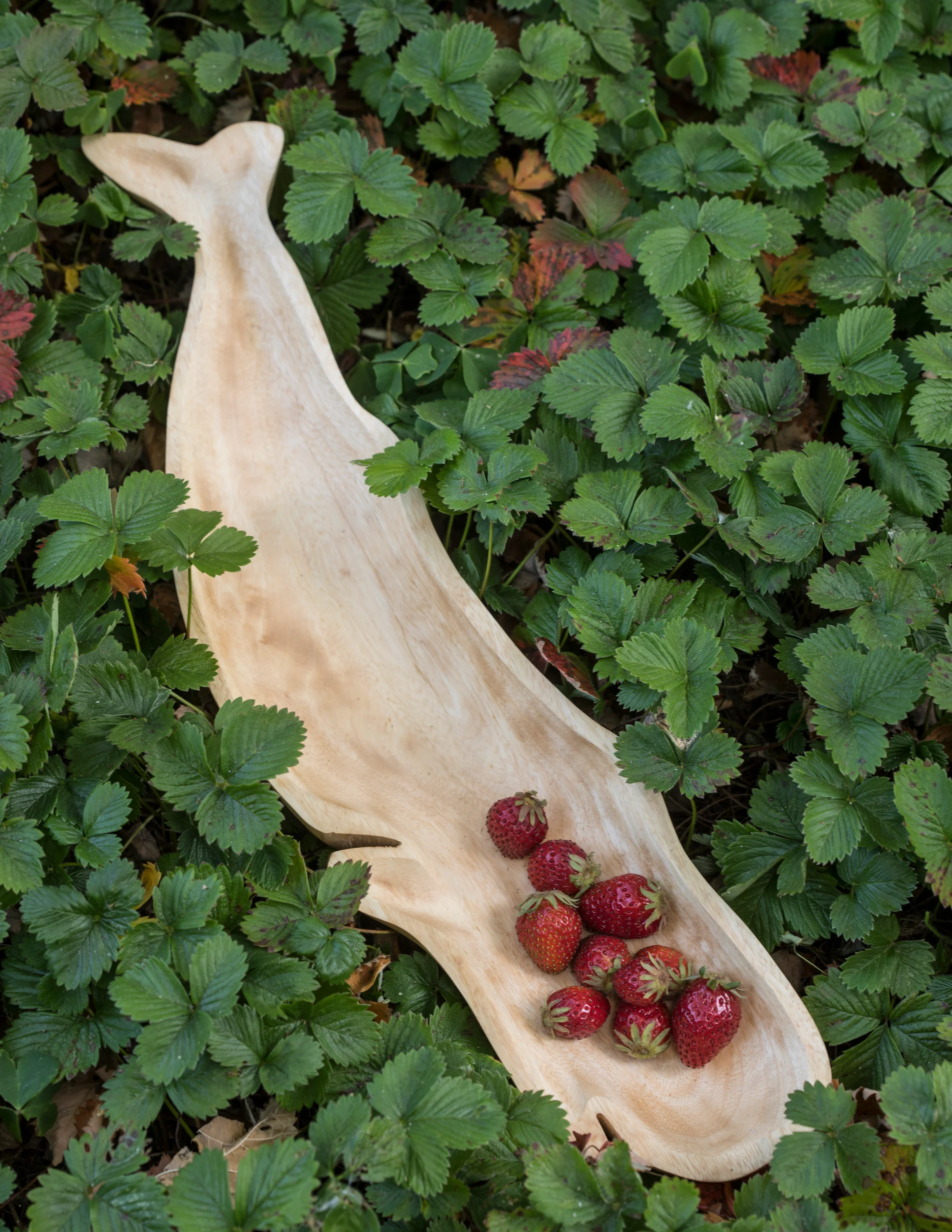 Kiln Mango Wood Whale Dish - Image 3