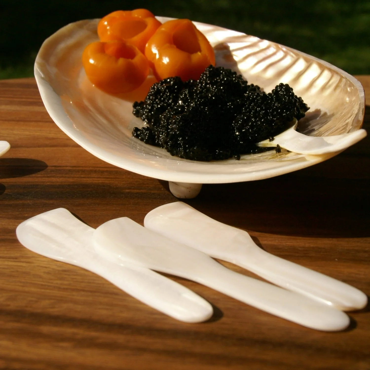 Shell Spreaders, Set of 4 - Image 3